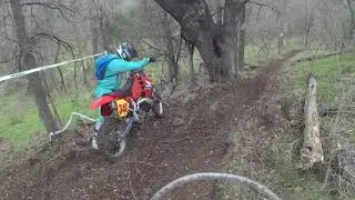 TORCS Goertz Open C 1/25/2020