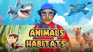Where Do Animals Live? | Animal Habitats Song | Teacher K Show 🐒🦈🐪🐦
