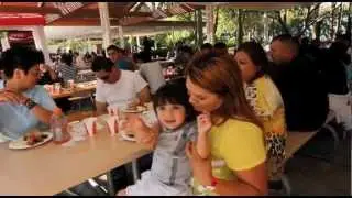 Group Picnics at Six Flags Magic Mountain