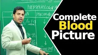 Complete Blood Picture | Hematological Test | Lab Parameters |