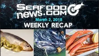 Fish Oil During Pregnancy; Snow Crab Fishing Ban; East Coast Seafood Fire;  Vietnam Goes to WTO