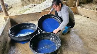 How to make a pig feed trough from scrap materials; free life/ Ban Thi Diet.