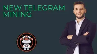 Bool network complete details|| bull network airdrop|| new telegram mining