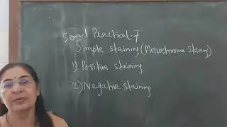 Sem 1,Paper 101,Practical 7 Monochrome Staining