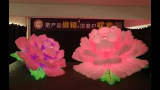 Double Pink Light Inflatable Peony Flowers For Nightclub Outside Decorations