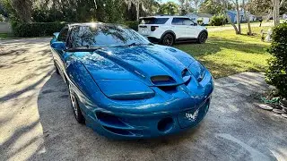 Проект Trans Am вернулся домой и готов к новым модификациям.