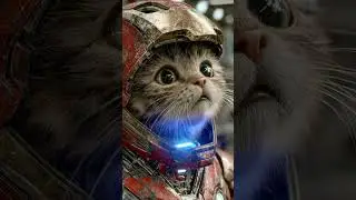 I am Iron Cat 🦾😼 | アイアン・キャット参上 | 鋼鐵喵俠：復仇者集結 #IronMan #shorts