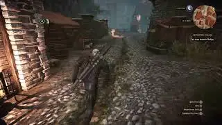 The Witcher 3 Wild Hunt Story Quest longplay (extra) (no commentary)