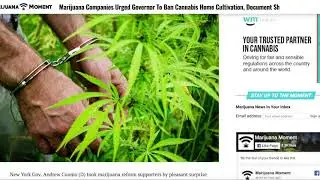 NY Cannabis Legalization Problems
