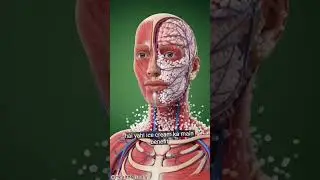 what happens inside your body after eating ice cream🍨#icecream #fashion #health #motivation #medical