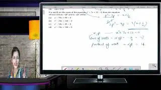 CA Foundation RTP Solutions - Quantitative Aptitude | September 2024