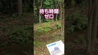 【大阪万博】アライグマが万博会場に出没？何とドイツ館は待ち時間ゼロで神過ぎる！自然と調和で、いのち輝く未来社会のデザインかも？　#大阪万博2025　#大阪万博　#ドイツ館　#EXPO&rsquo;70