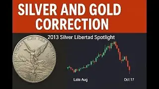 Silver and Gold Correction | 2013 Silver Libertad Spotlight