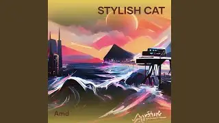 Stylish cat