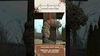 Brian's Birdseed Wreath: Unboxing Happiness!
