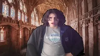 Hogwarts Legacy Expectations VS. Reality