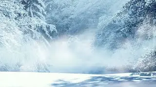 Winter storm sound | Cold howling wind from a snowstorm or blizzard | 10 Hours