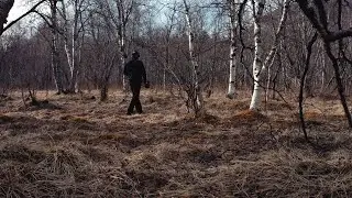 Nature sounds ASMR walking on twigs and dry grass