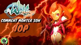 COMMENT MONTER SON IOP (TANK/ DPS) - Wakfu