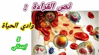 نص القراءة ( وادي الحياة )للسنة الخامسة إبتدائي#الجزائر#قراءة#أولياء#تعليم#اكسبلور#parents