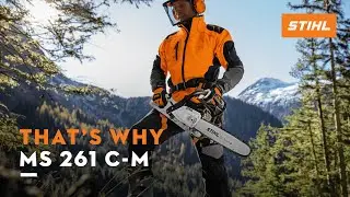STIHL MS 462 C-M | The chainsaw for professionals | That's why
