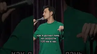 Ходячие консервы #стендап #бухарог #стендапклуб #гепарды #animalplanet #shorts