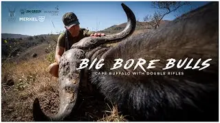 Big Bore Bulls -  Cape Buffalo with Double Rifles