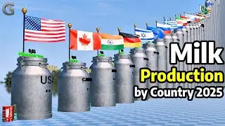 Milk Production by Country 2025 | India vs Pakistan vs USA 