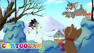Tom and Jerry cartoon |  Snowball Hits Tom | Cartoon Compilation | By Cartooland