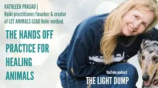 EP.23  HANDS OFF REIKI: HEALING ANIMALS LOVE #animalhealing #reiki #animalspirits #love 