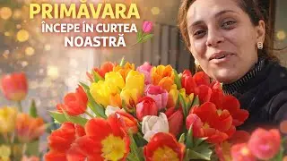Primăvara începe în curtea noastara🪻🌷ce am făcut azi cu Denis?!❤️ #primăvara #duminica #flori