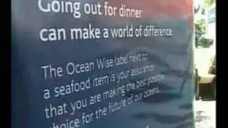 Cactus Club Cafe - Kelowna Oceanwise Launch
