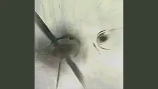 The Wondrous Flow of Birth and Death