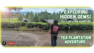 Hidden Gem PUNCAK ! View-nya Kayak di SWISS 😯
