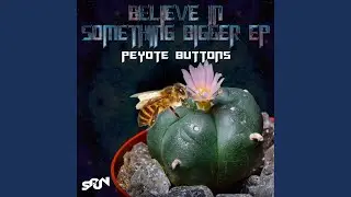 Believe In Something Bigger