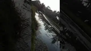 Akibat limbah tambak udang