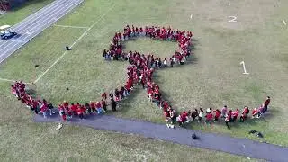 DMS Red Ribbon  Red Day