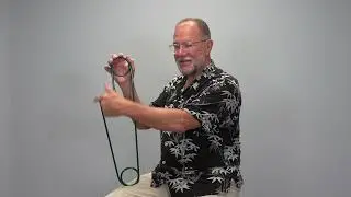 Chiropractic Laws Safety Pin