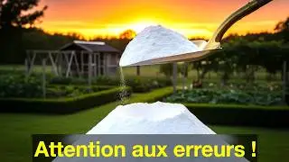 Terre de diatom&eacute;e : mode d&rsquo;emploi complet (D&eacute;butants)