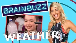 What is Weather? Brain Buzz