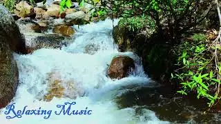 Soothing Music: Relaxing Piano Music & Water Sounds for Sleep, Meditation, Spa & Yoga 2026