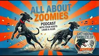 Greyhound Unmuzzled Episode 6 - Zoomies