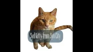Syd Kitty from Syn City, in 9 Worlds Away #cat #hokuspick #cutecat #funny