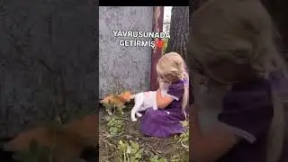 #catandgirl