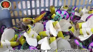 How to Make the Fireworks, W504 Sunflower?/China Fireworks/Fireworks Factory/Doremi Fireworks