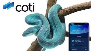 Captain Crypto: COTI (Hidden Crypto Gem) Cardano Pay - Viper - New Listing