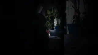 Il tunnel Oscuro - La fessura Cap. 1
