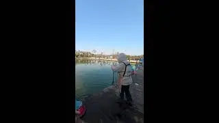 Real Shore Fishing LIVE | 岸釣りリアル実釣ライブ 2026-02-02 15:42:52