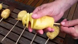 Helix Batata.MOV