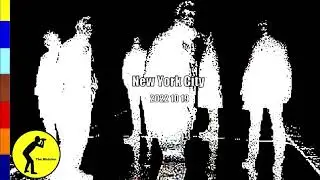 TINDERSTICKS * 2002 10 19 * NEW YORK CITY * ST ANN'S THEATRE (WAREHOUSE) * USA  (Audio)